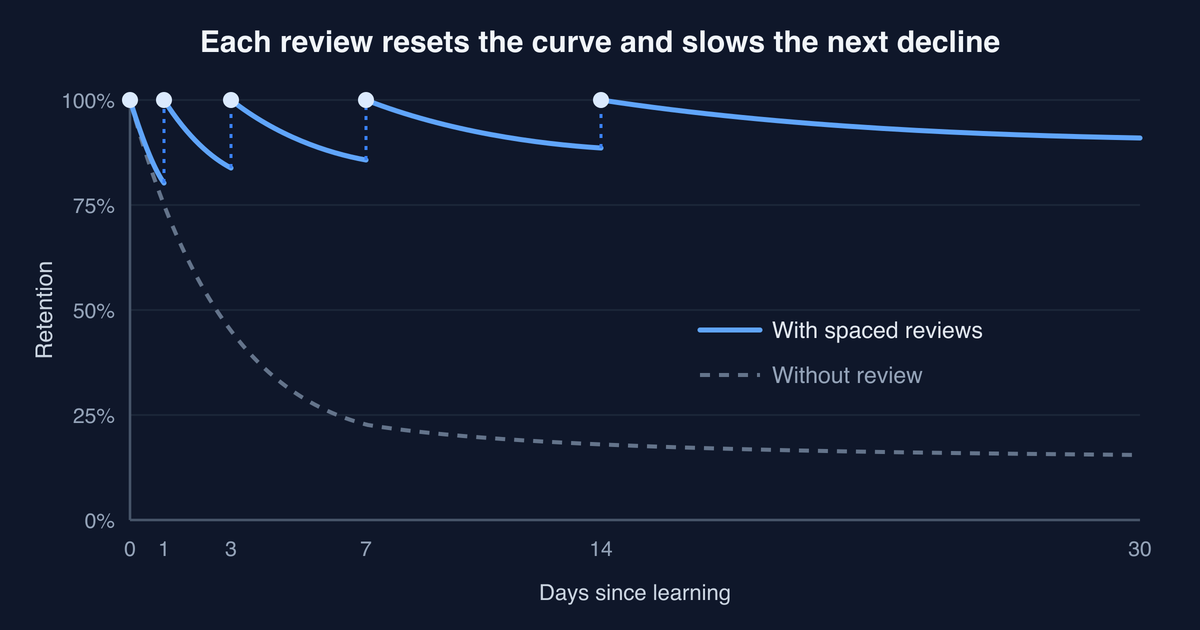 Chart of the forgetting curve: without review, retention falls below 25% within a week; with spaced reviews on days 1, 3, 7 and 14, each review resets retention to 100% and the decline gets slower each time